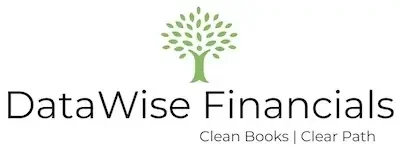 Datawise Financials | Accounting Blog Texas